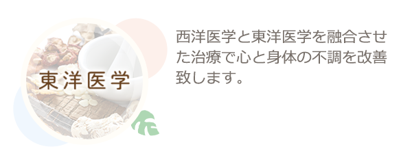 東洋医学　西洋医学と東洋医学を融合させた治療で心と身体の不調を改善致します。くわしくはこちらから