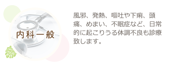 内科一般　風邪、発熱、嘔吐や下痢、頭痛、めまい、不眠症など、日常的に起こりうる体調不良も診療致します。